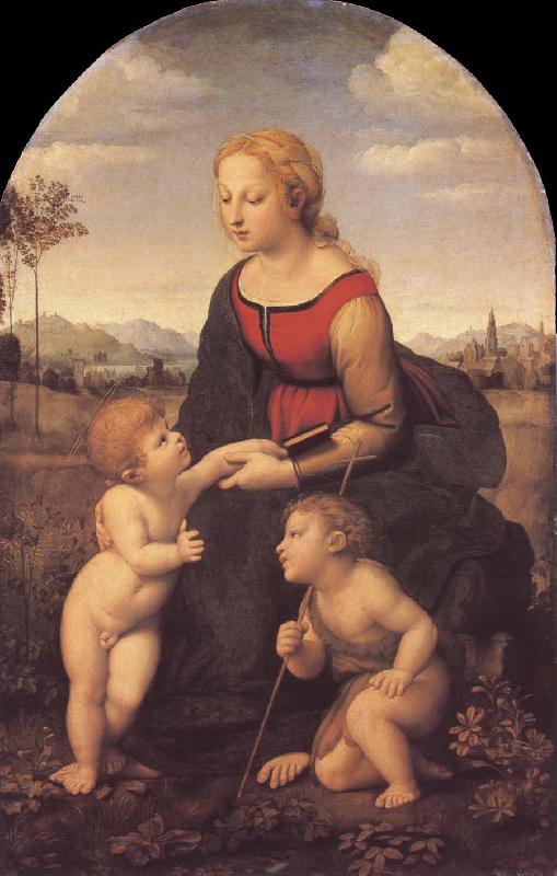 RAFFAELLO Sanzio The virgin mary